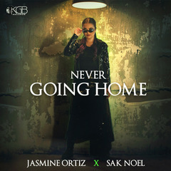 Cover Art Never Going Home 1600 x1600